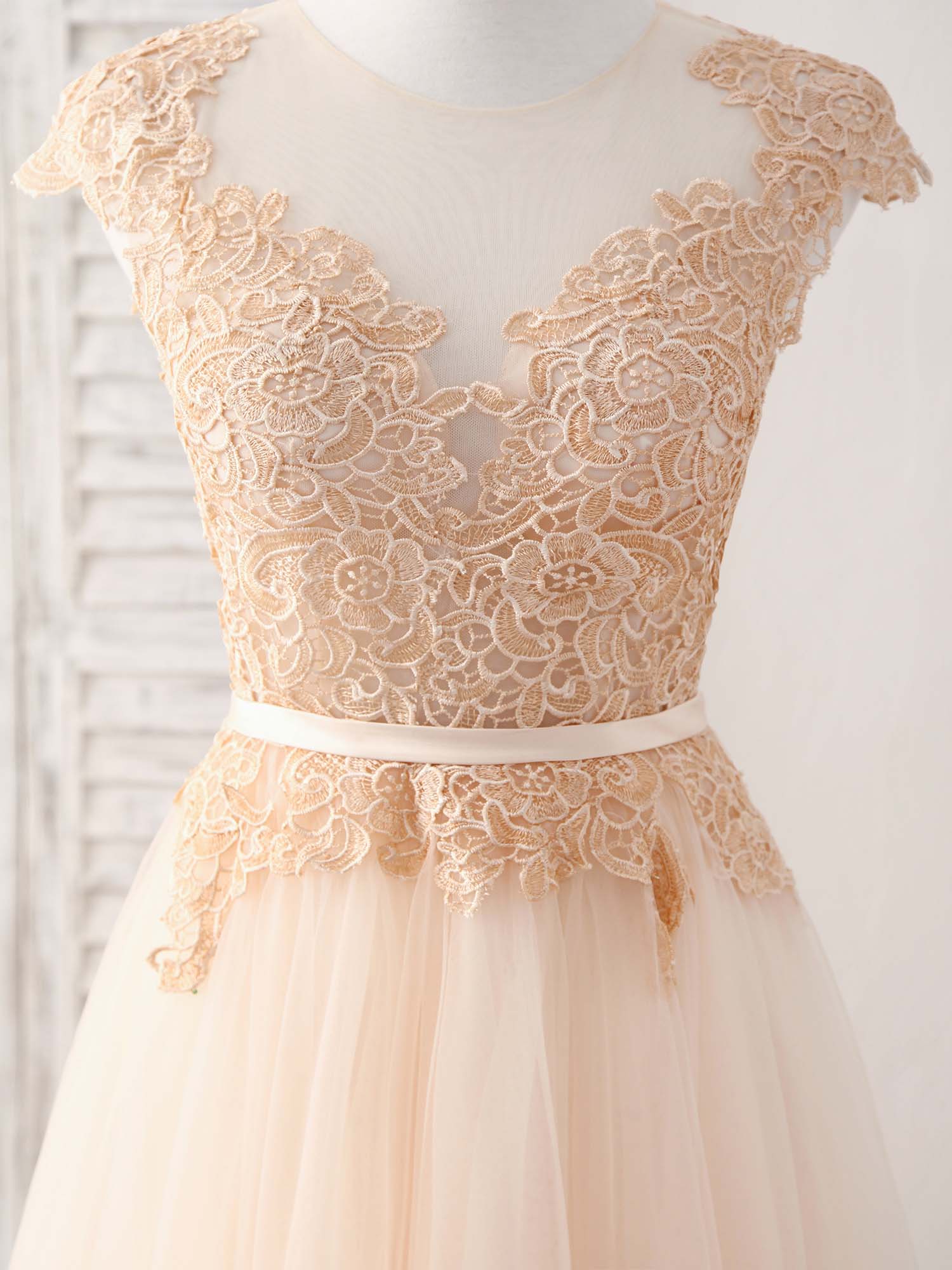 A-line V-Neck Floor-Length Tulle Lace Prom Dress with Embroidered Bodice
