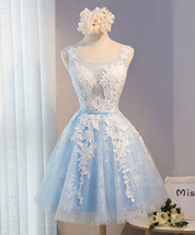 Floral Embroidered Tulle A-Line Short Homecoming Dress with Satin Waistband