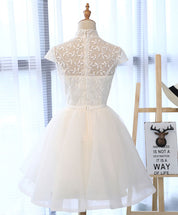 A-line Illusion Neck Short Tulle & Lace Homecoming Dress with Mandarin Collar Detail